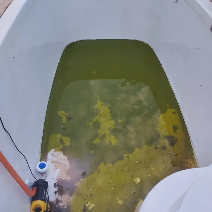 Caixa d'água de fibra de vidro antes da limpeza, com água esverdeada e algas